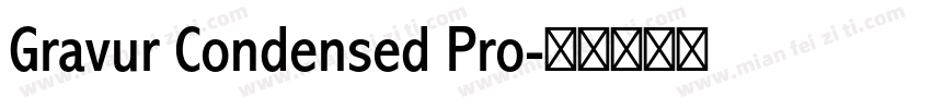 Gravur Condensed Pro字体转换